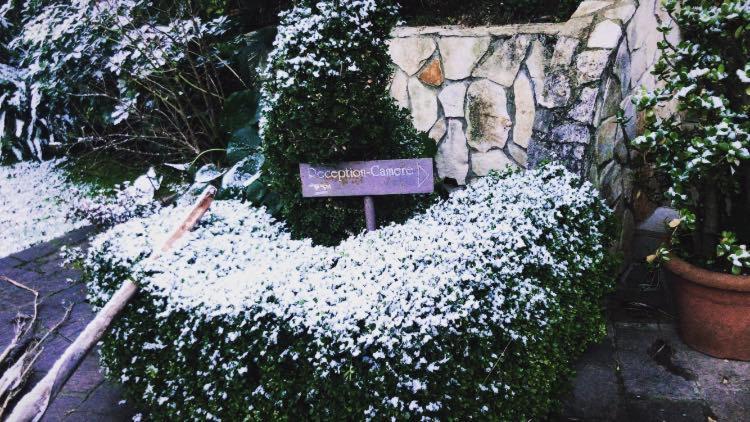 Agriturismo Terre Delle Monache Pontecagnano Bagian luar foto