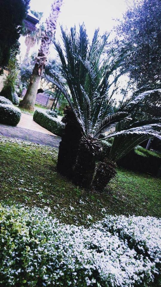 Agriturismo Terre Delle Monache Pontecagnano Bagian luar foto